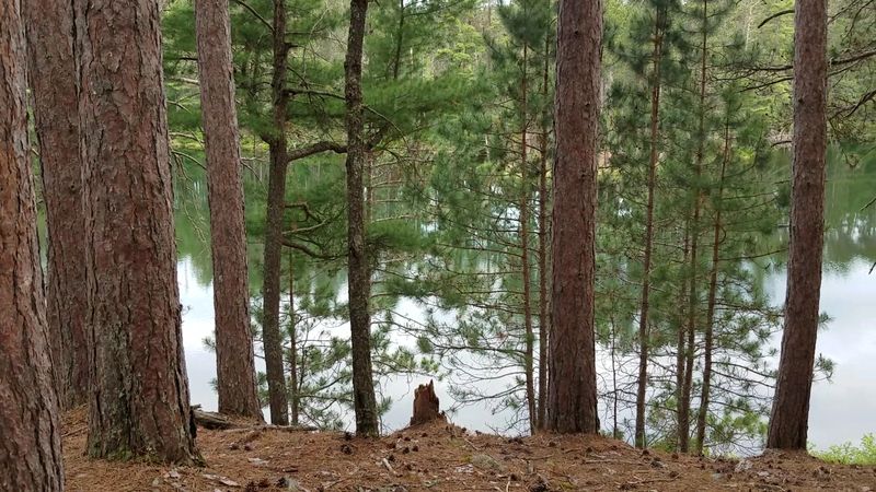 Bear Head Lake State Park Delivers A Quiet Northwoods Setting