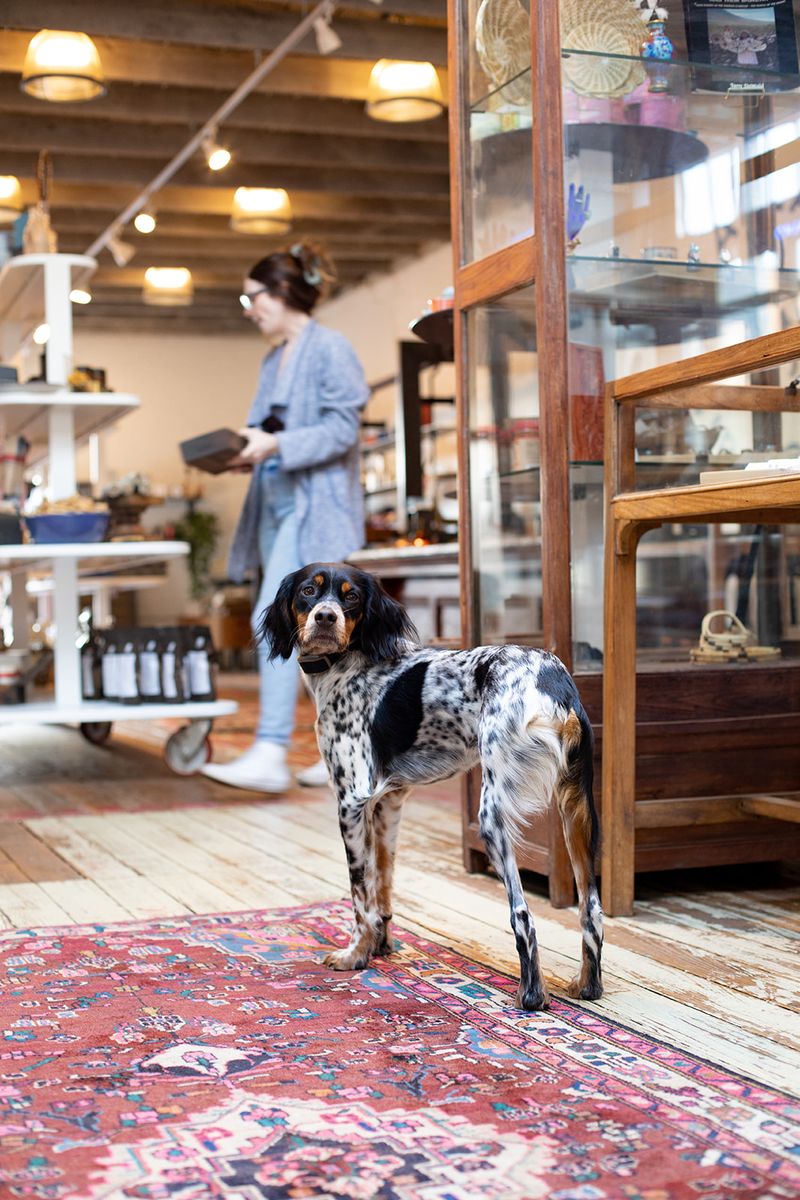 Brenham's Pet Friendly Downtown