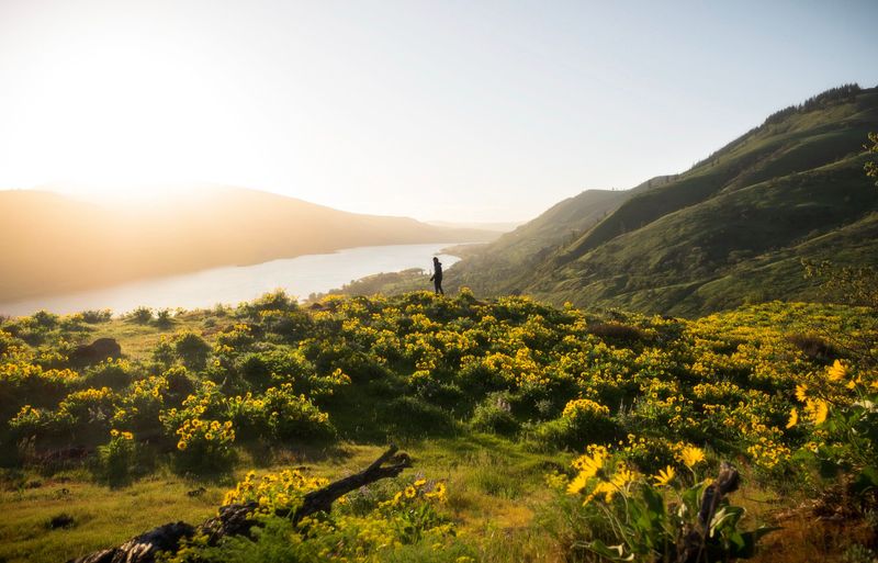 Hike Dog Mountain Trail in the Columbia River Gorge