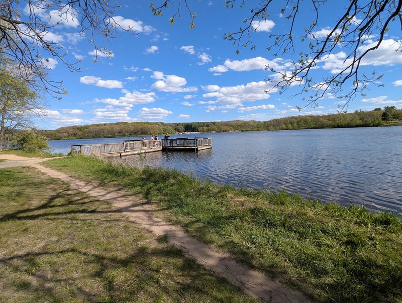 Rock Cut State Park Gives Dogs Plenty of Room to Roam