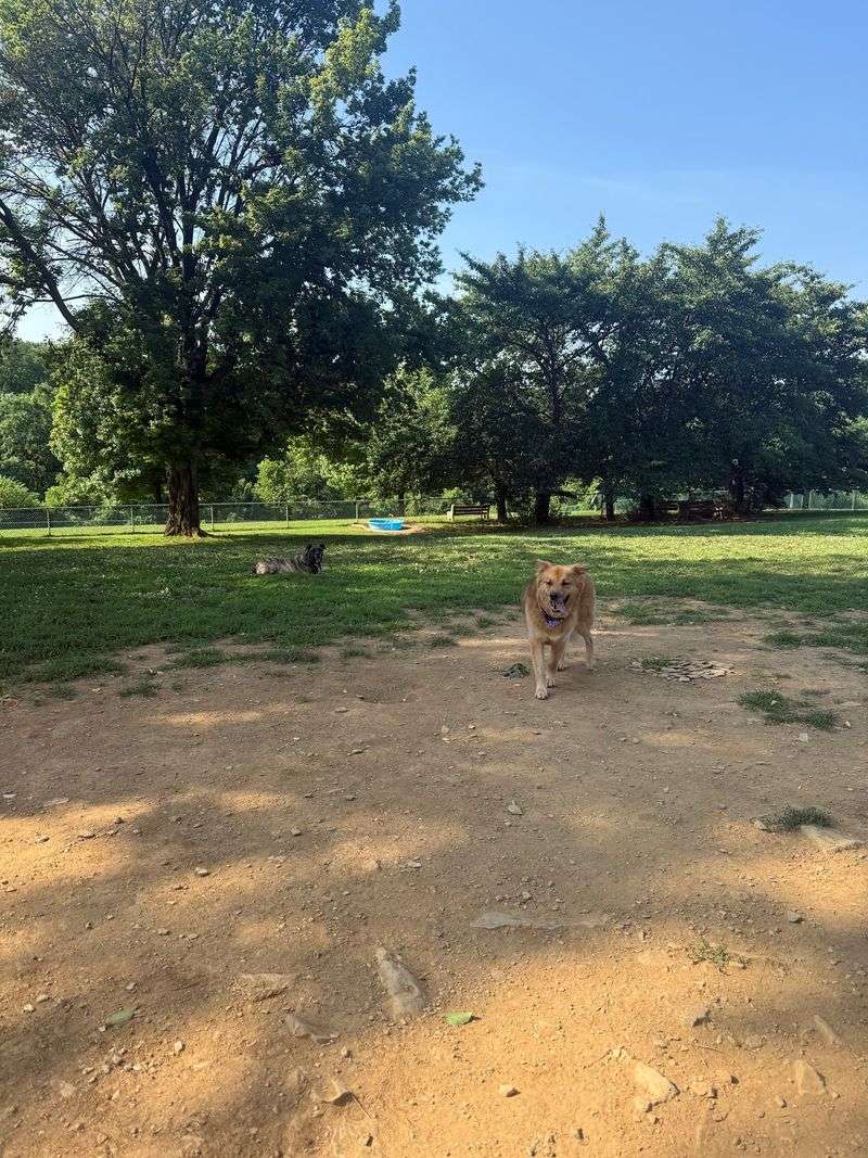 Monocacy Dog Park, Bethlehem