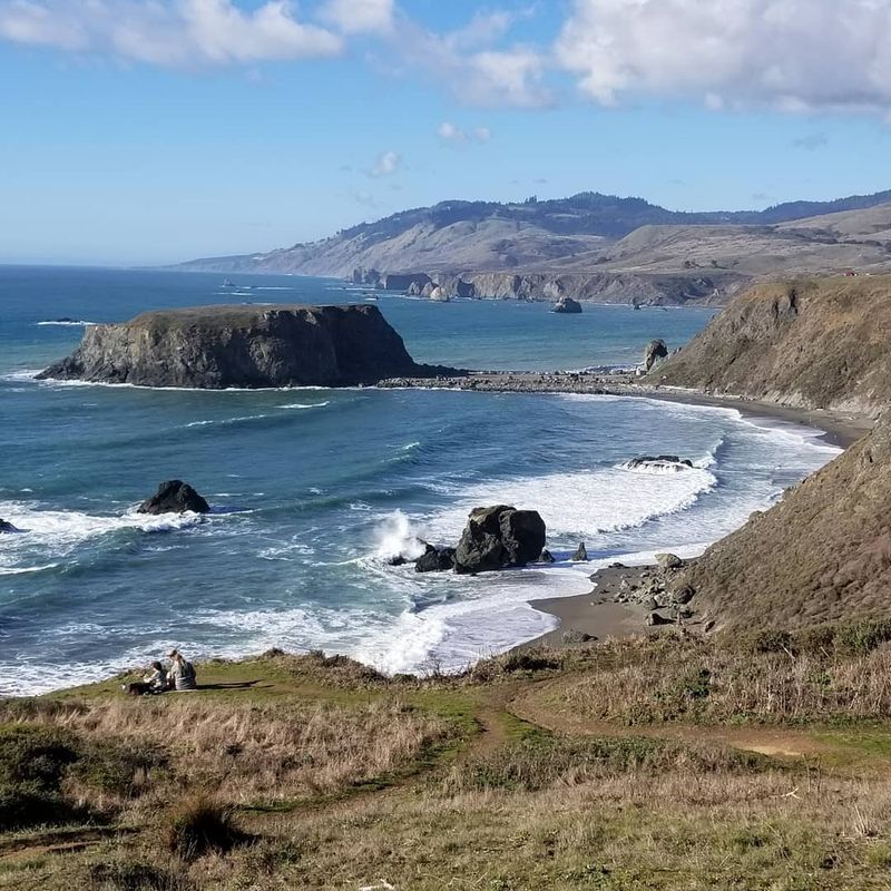 Sonoma Coast Road Trips Bring Your Dog to Leashed Beaches