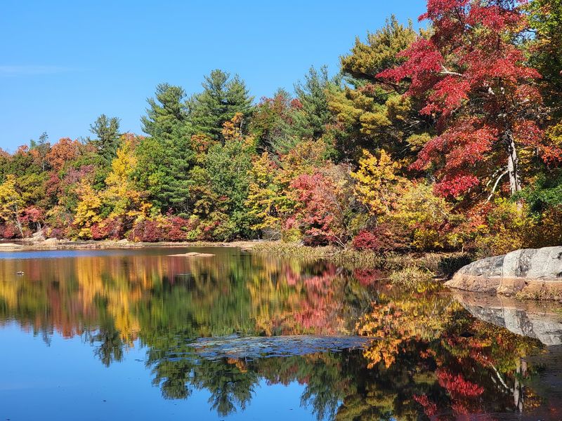 Breakheart Reservation, Saugus