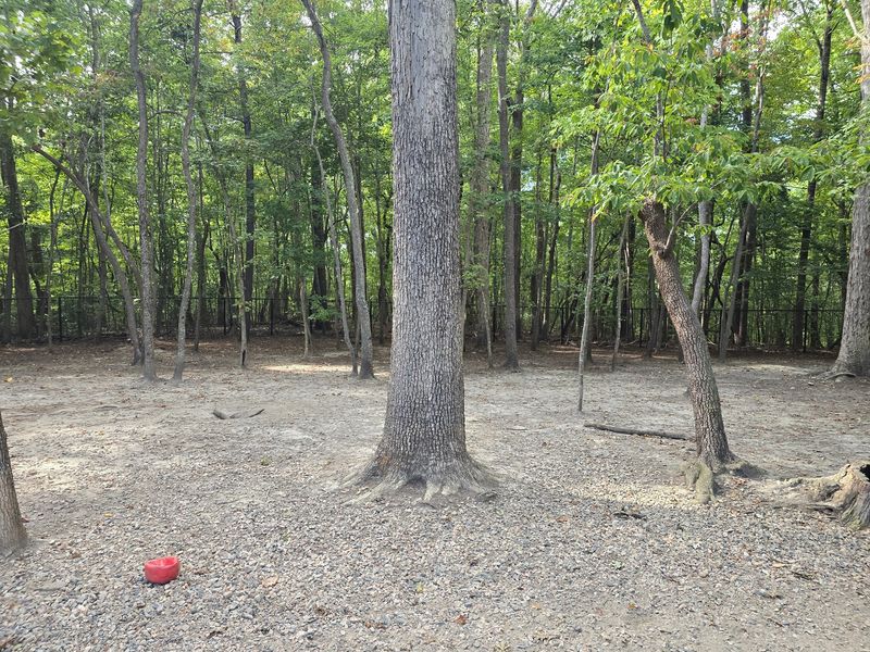 Baileywick Park Dog Park, Raleigh