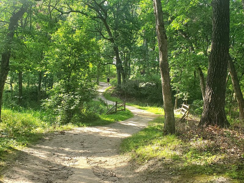 Lebanon Hills Regional Park Brings Woods And Lakes Together