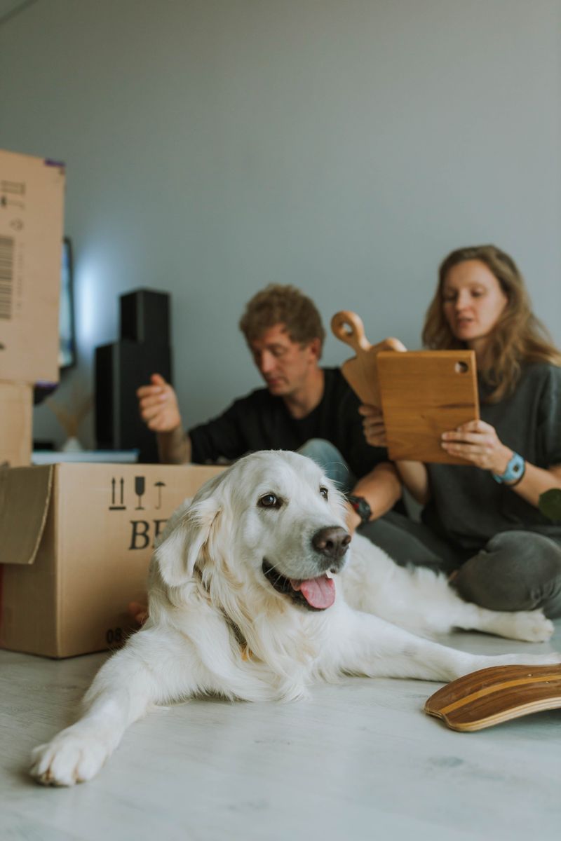 Confirm All Pet Rules and Local Requirements Before Moving In