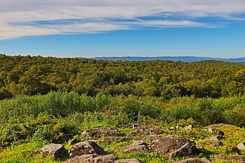 October Mountain State Forest, Lee