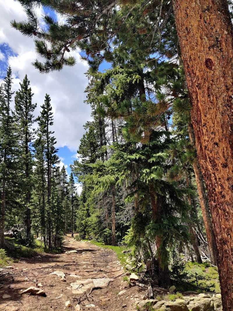 Mount Falcon Park West Trail