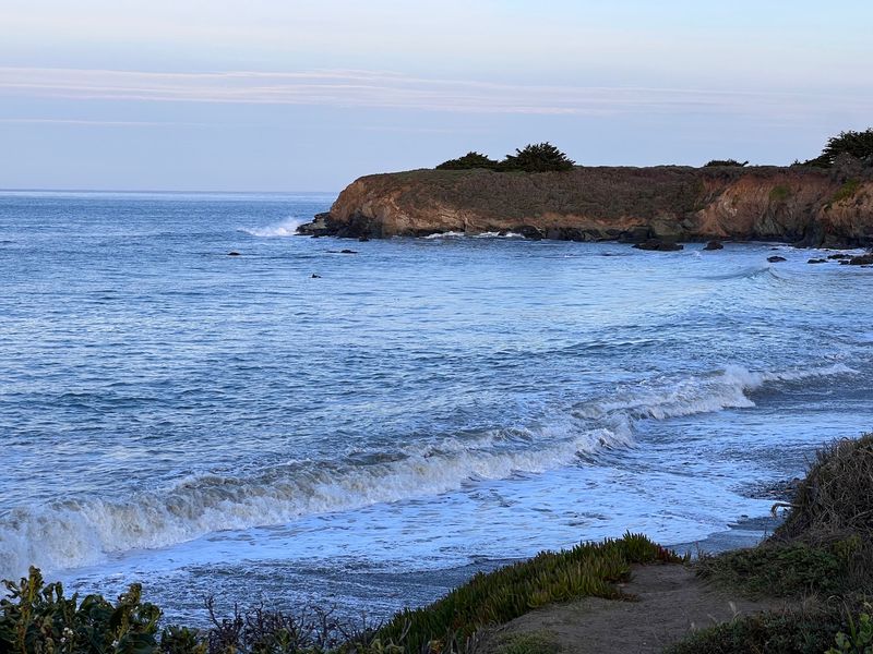 Cambria and San Simeon