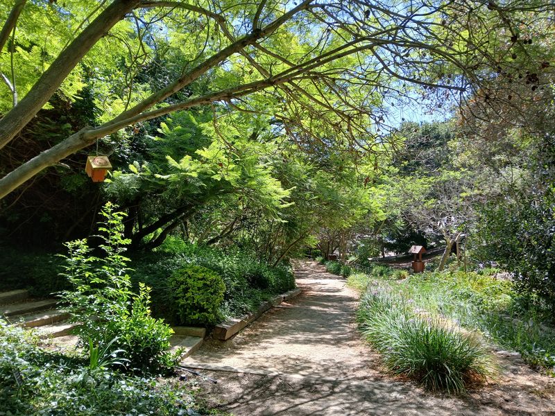 Niguel Botanical Preserve - Laguna Niguel