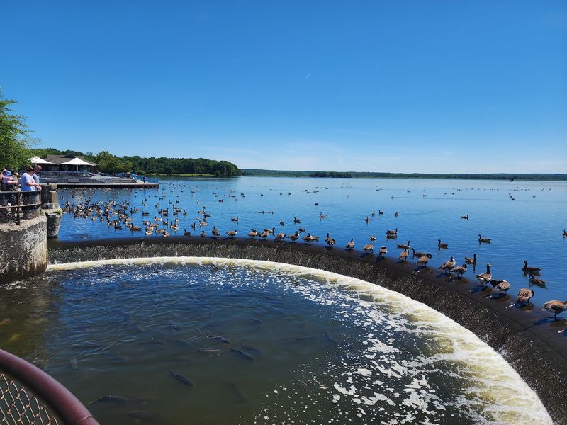 Pymatuning State Park And Pymatuning Reservoir