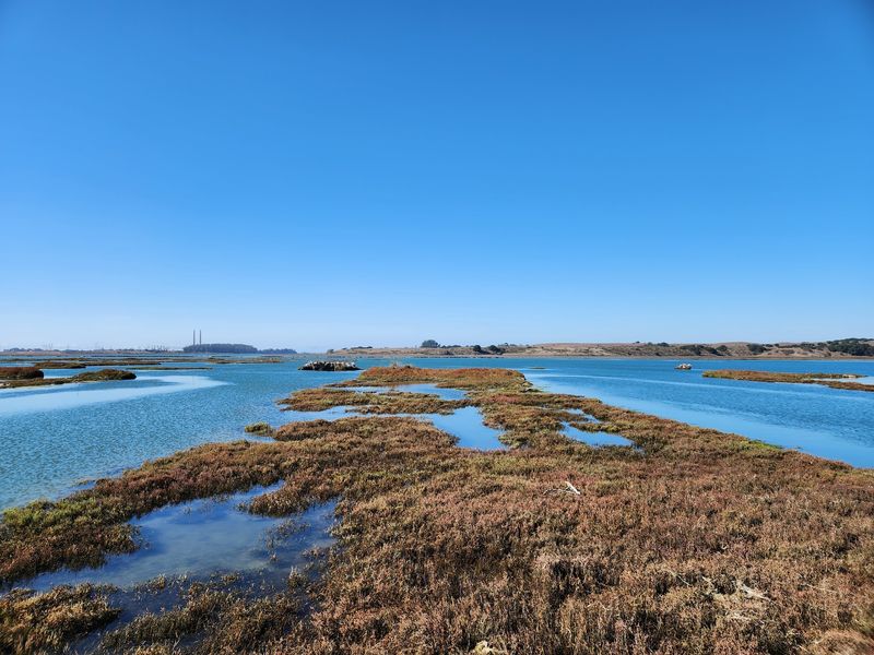 Elkhorn Slough Ecological Reserve