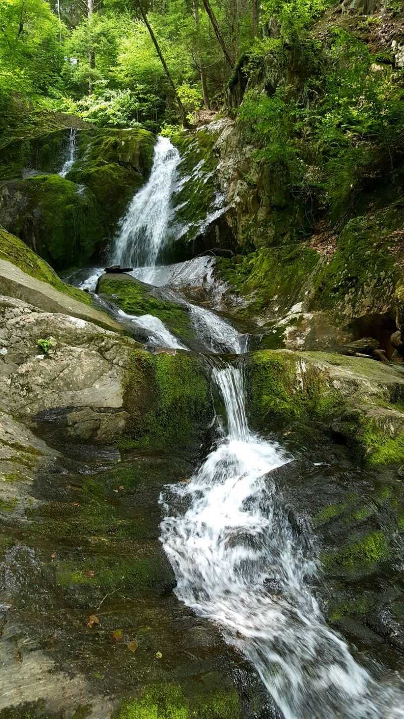 Chester-Blandford State Forest, Chester and Blandford