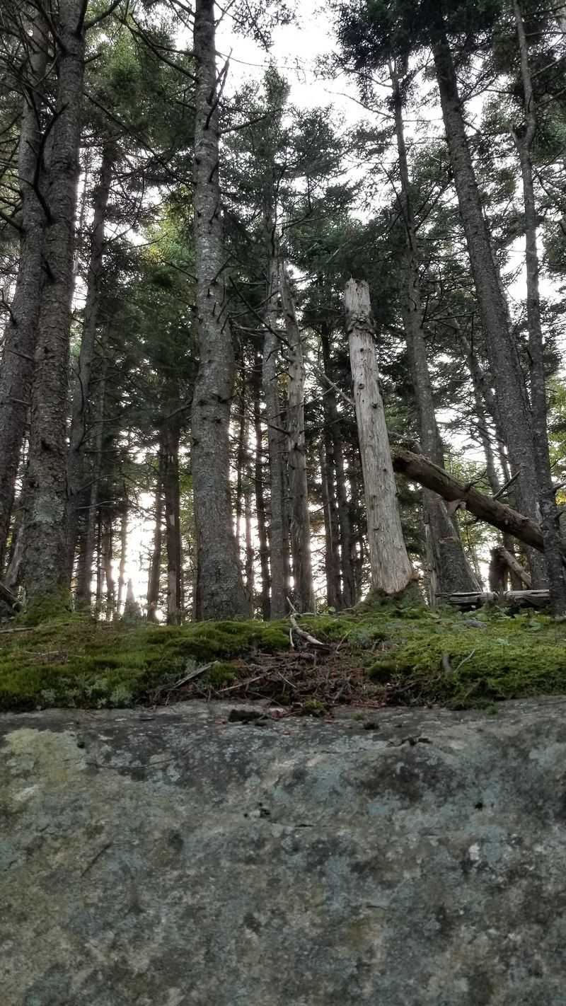 Mount Ascutney Parkway: Windsor