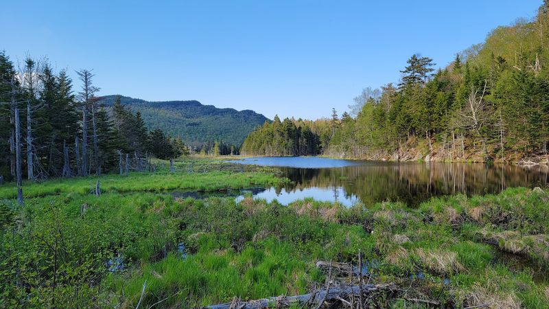 Lost Pond Trail: Mount Washington Without the Work