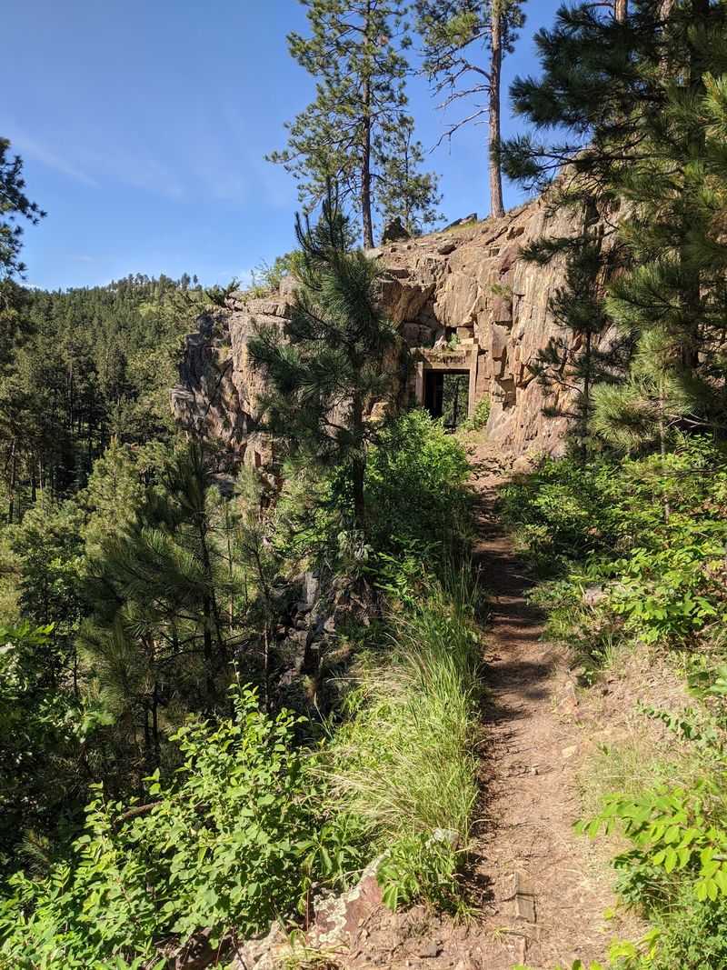 Flume Trail #50