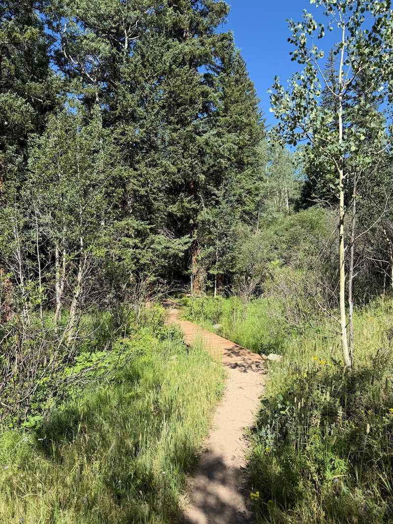 Snowshoe Hare Trail, Golden Gate Canyon State Park