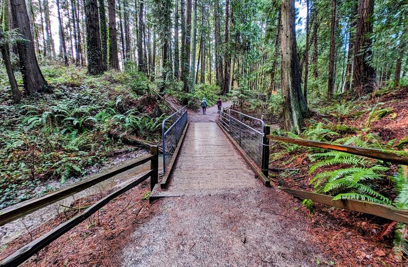 Gabriel Park, Southwest Portland