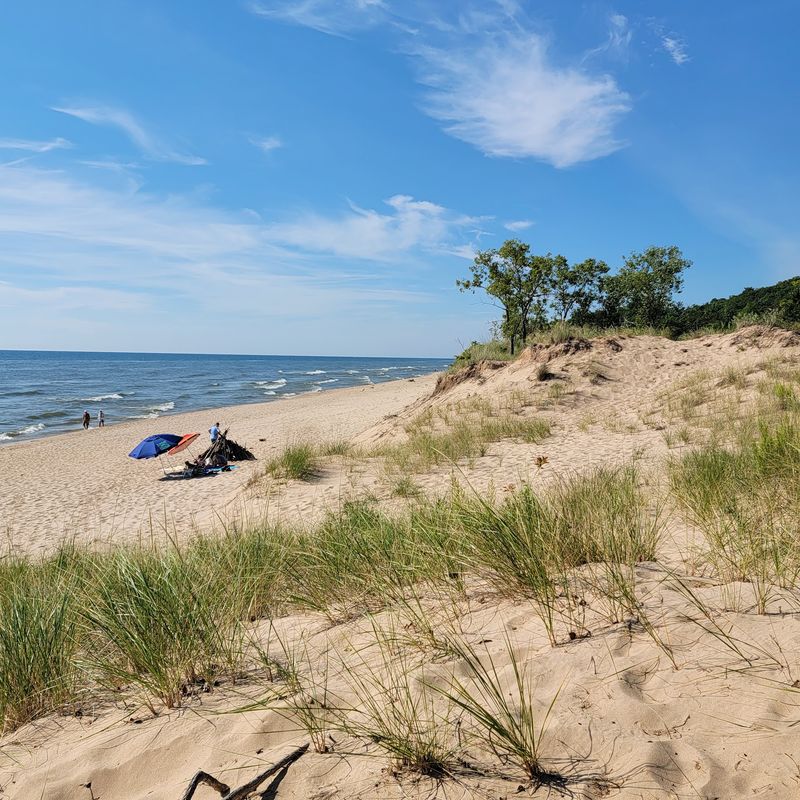 Hoffmaster State Park Opens Its Shoreline to Pets