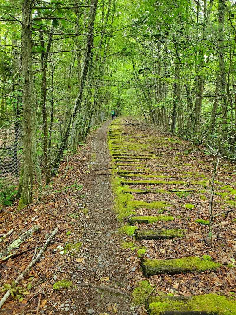 Wompatuck State Park, Hingham