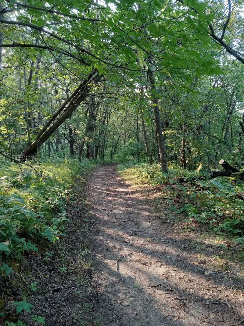 Glacial Lakes State Park near Starbuck