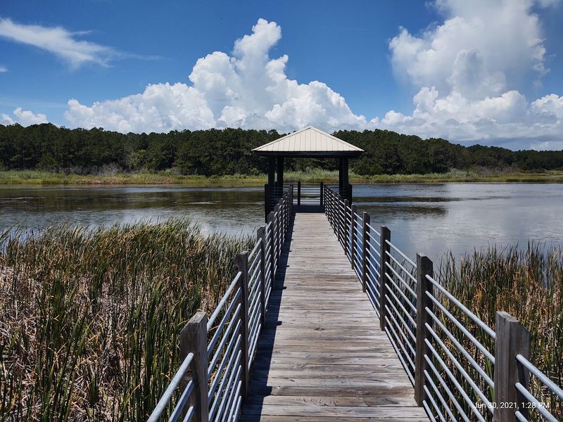 Huntington Beach State Park