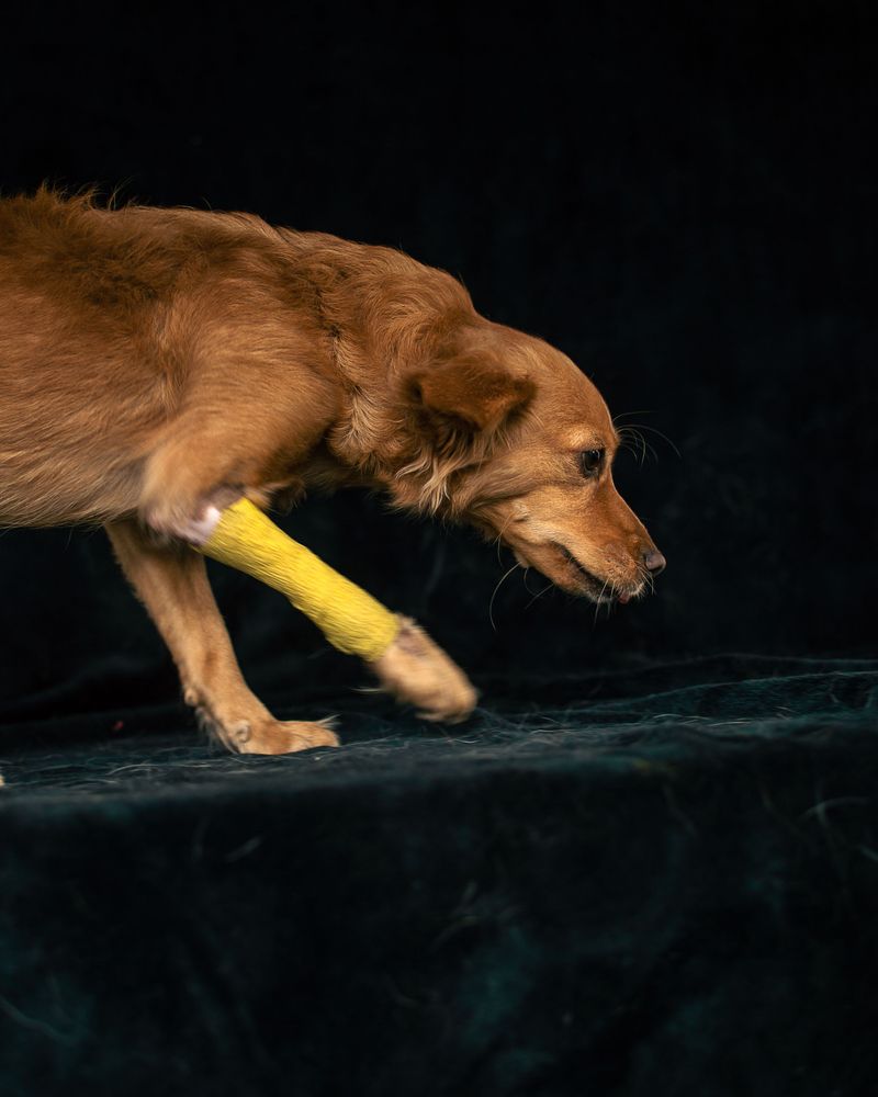 Neglect Becomes a Misdemeanor When Injury Is Involved