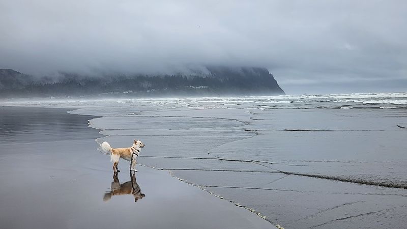 Seaside Beach, Seaside