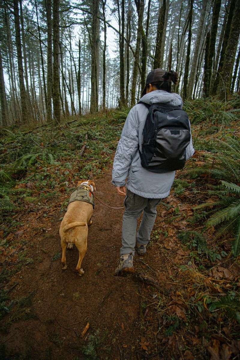Avoid Food and Scent Triggers on Hikes