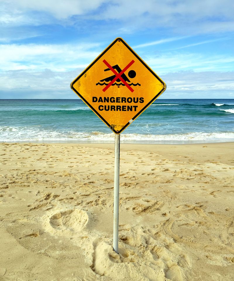 Keep Dogs Away from Strong Currents, Rough Surf, and Dangerous Tides