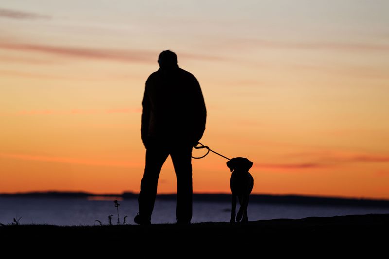 Keep Your Dog Close At Dawn And Dusk