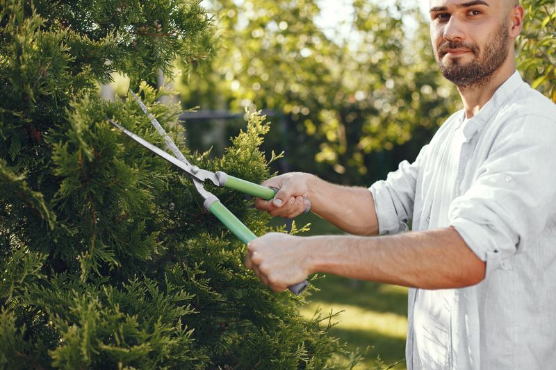 Make Your Yard Less Appealing To Snakes