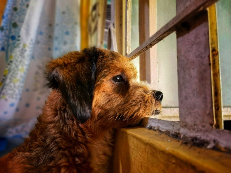 A 30-Day Window Applies in Several Common Situations