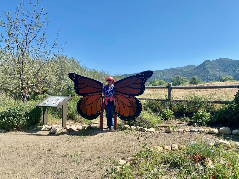 Santa Ynez Valley Botanic Garden - Buellton