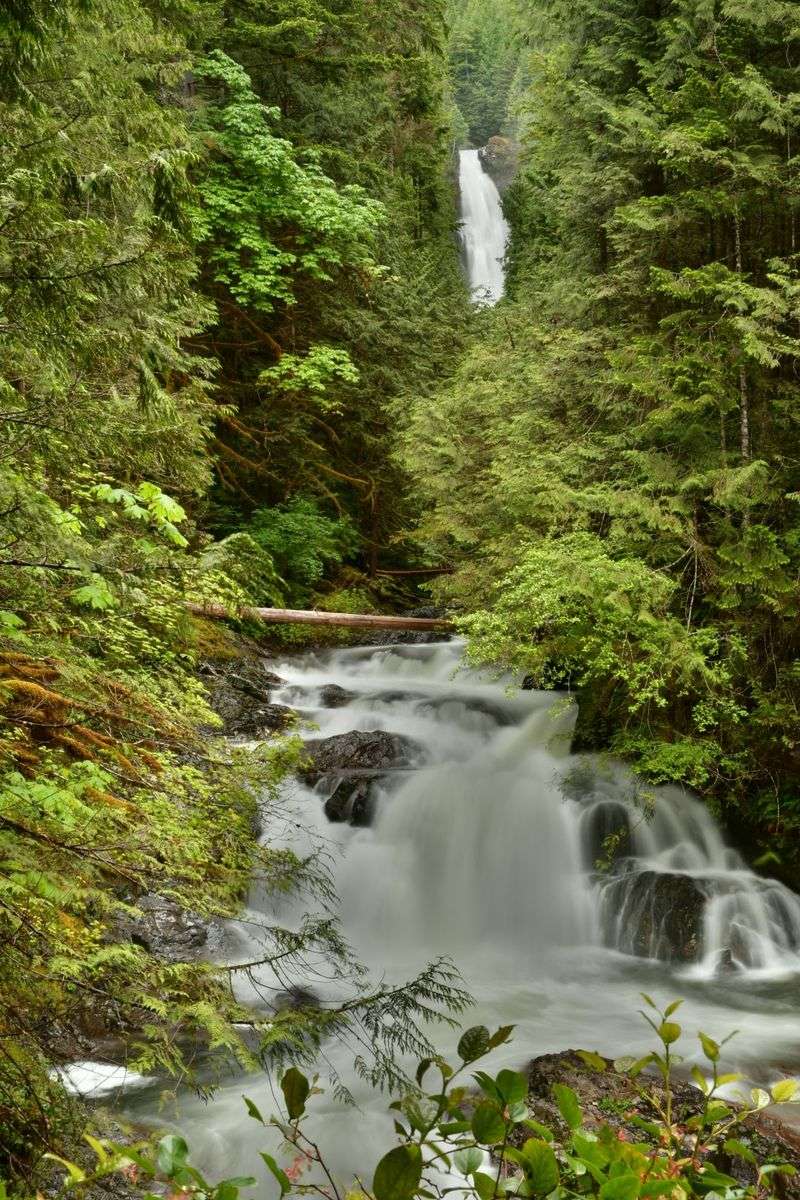 Wallace Falls State Park, Gold Bar