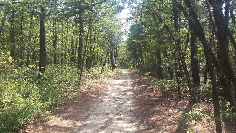 Brookhaven State Park, Wading River