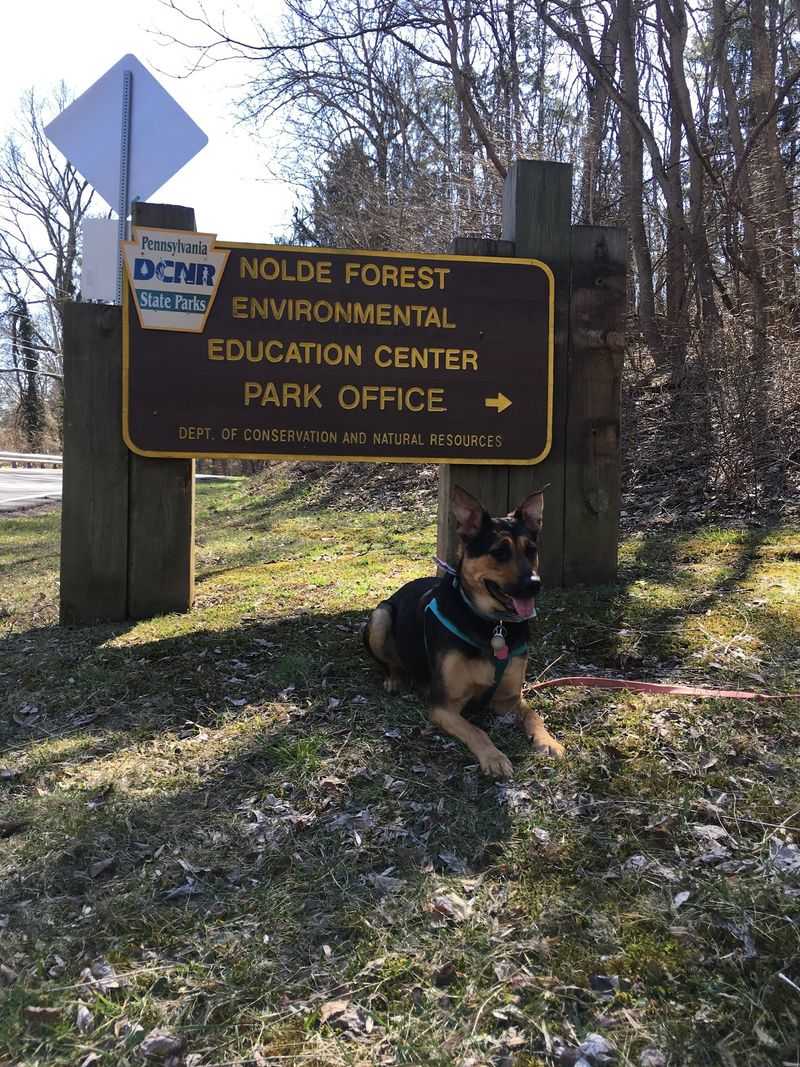 Nolde Forest Environmental Education Center
