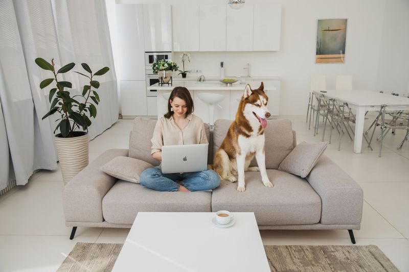 Rental Insurance May Have Pet-Related Rules