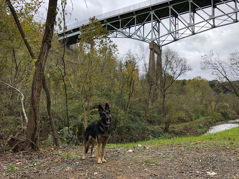 Montour Trail