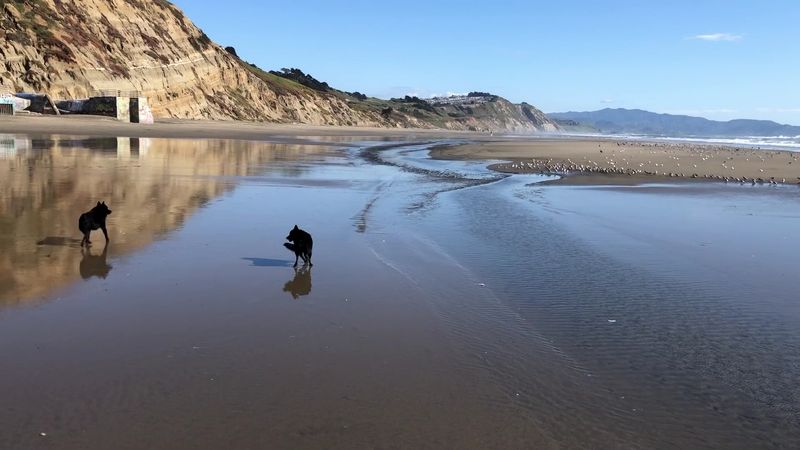 Fort Funston, San Francisco