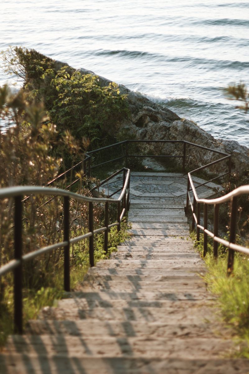 Elk Neck Splits Access Between Beach and Trail