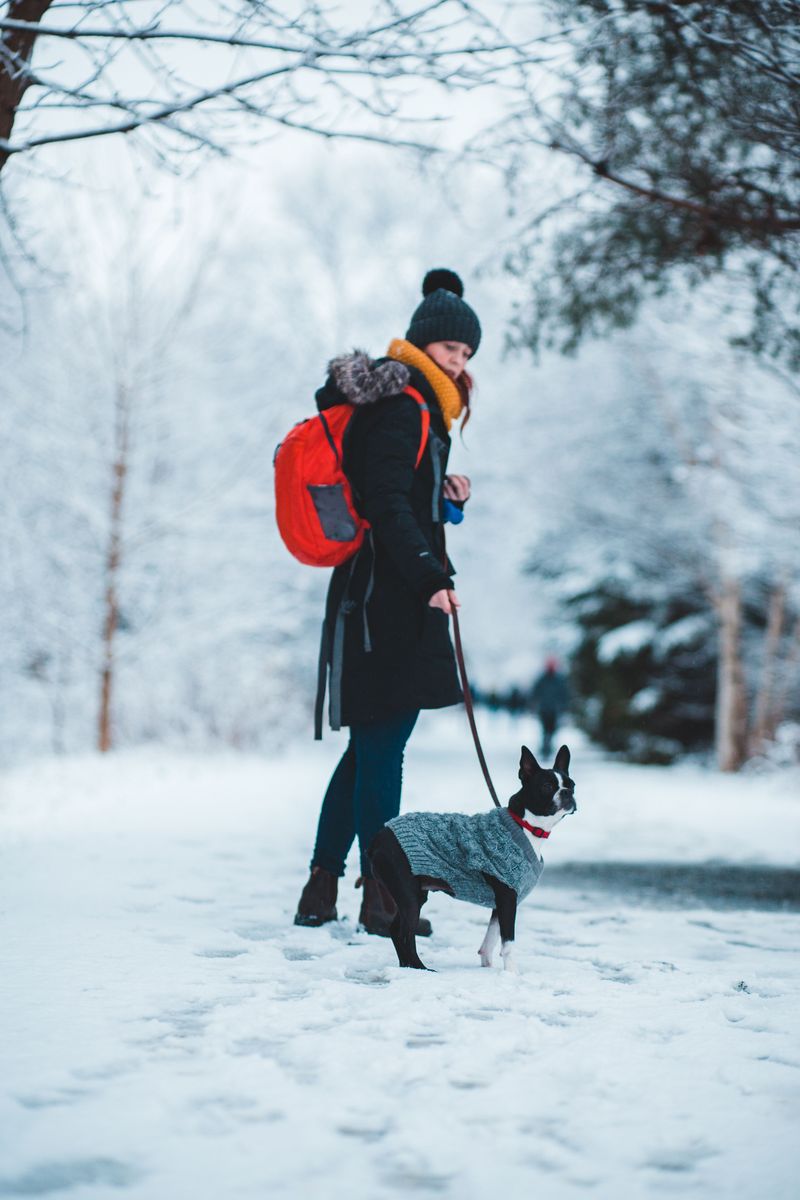 Keep Frigid-Day Outings Brief