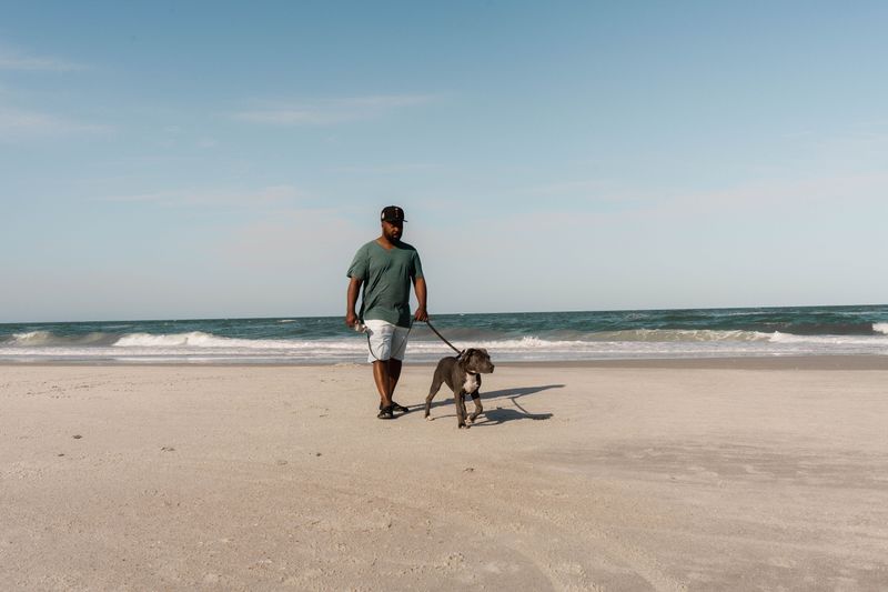 Dog-Friendly Park Does Not Necessarily Mean Dog-Friendly Beach