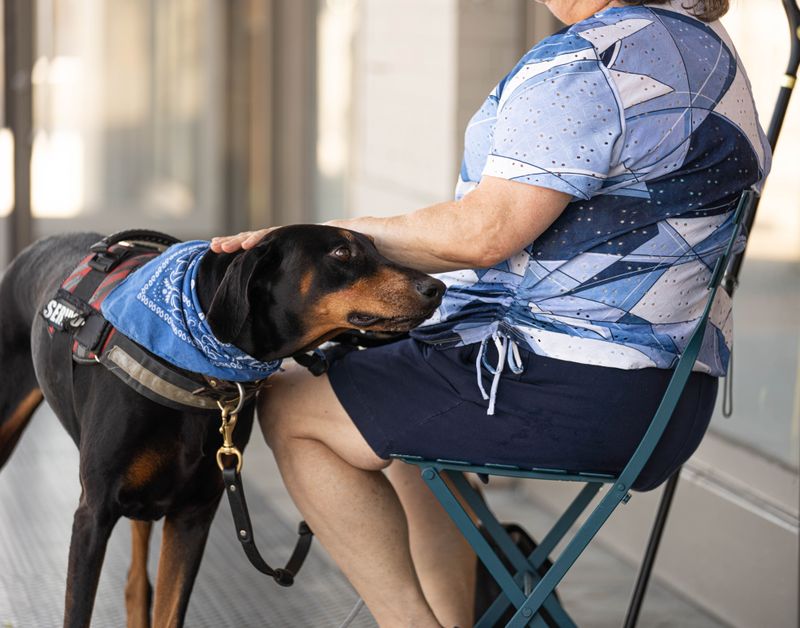 Confusing Service Dogs and Emotional Support Animals