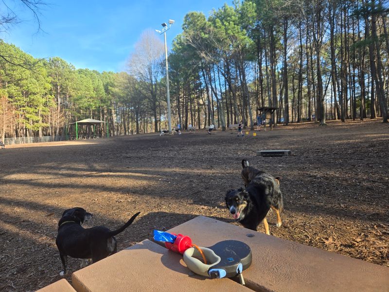 Millbrook Dog Park, Raleigh