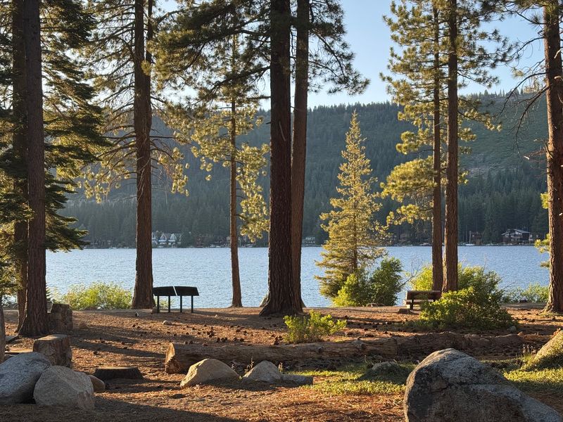 Lake Tahoe Adds Mountain Scenery to a California Dog Trip