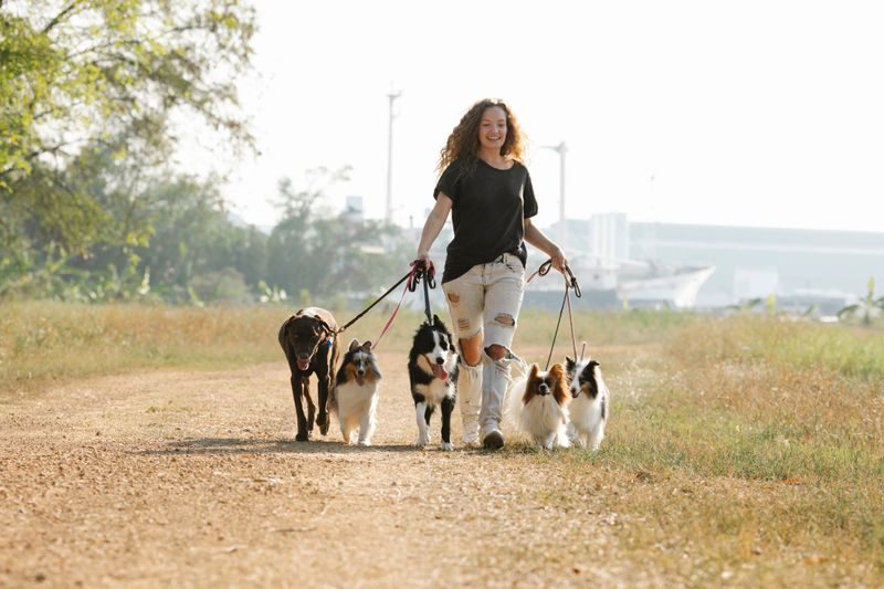 Off-Leash Does Not Mean Unsupervised