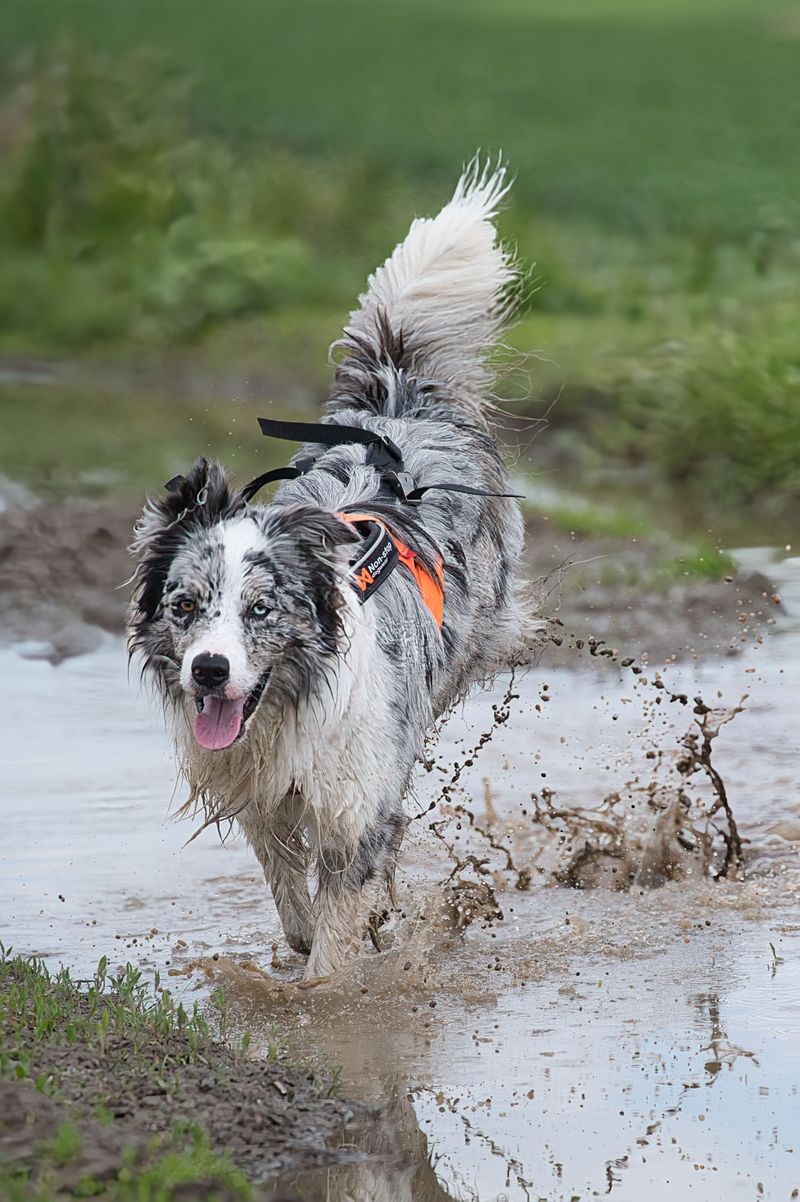 Rain Can Make Familiar Trails Riskier