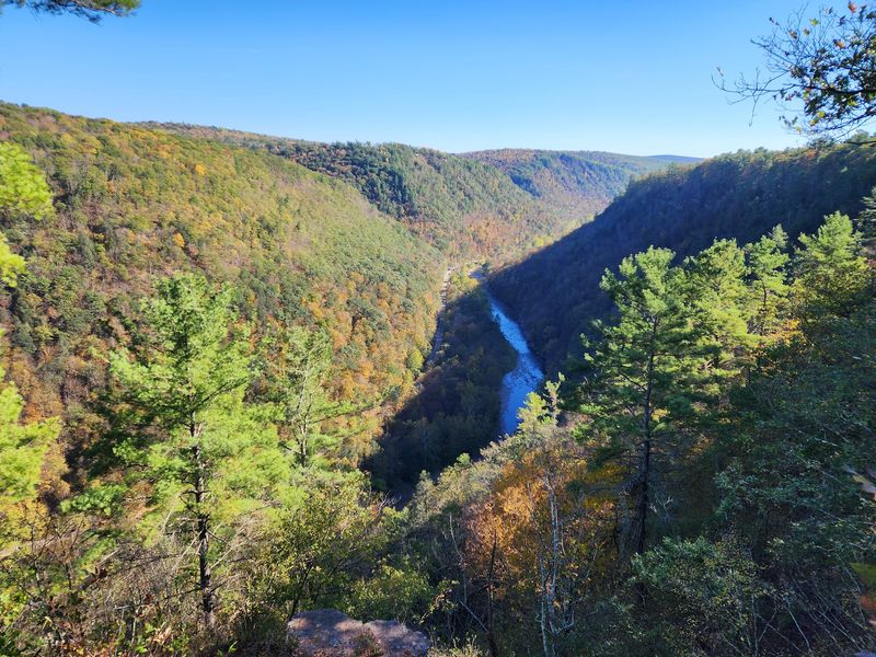 Pine Creek Gorge At Leonard Harrison And Colton Point State Parks