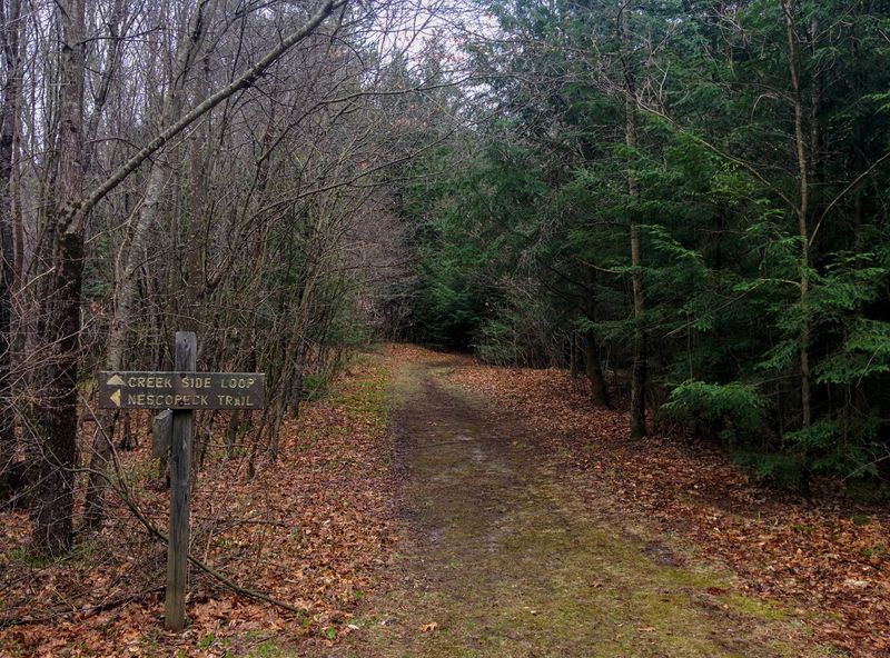 Nescopeck State Park